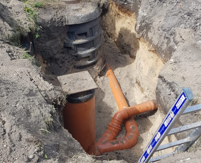 WhatsApp Image 2026-01-03 at 11.16.34 (1)